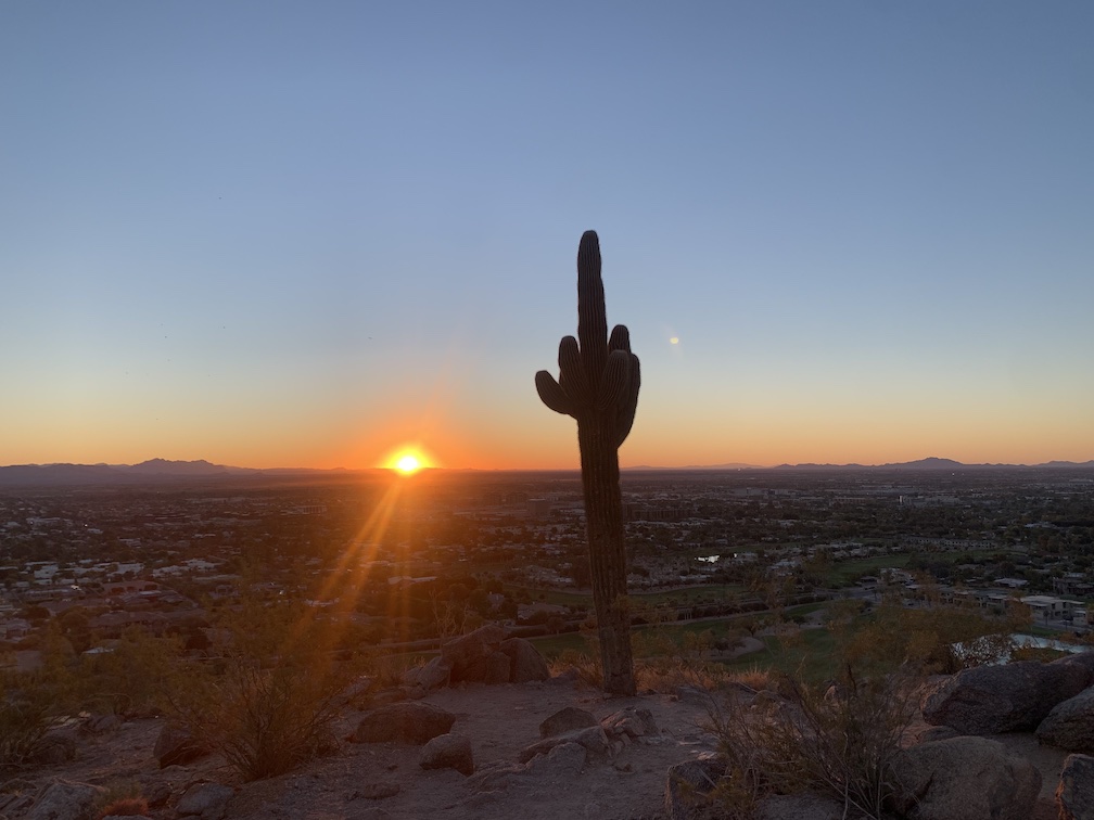 A tall, multi-armed saguaro cactus poised at the edge of a dropoff above a valley, with a golf course in the forefront and buildings and trees behind, and in the distance, the sun rising over distant mountains